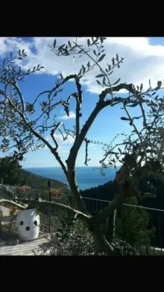 Message in a Bottle Bed & Breakfast