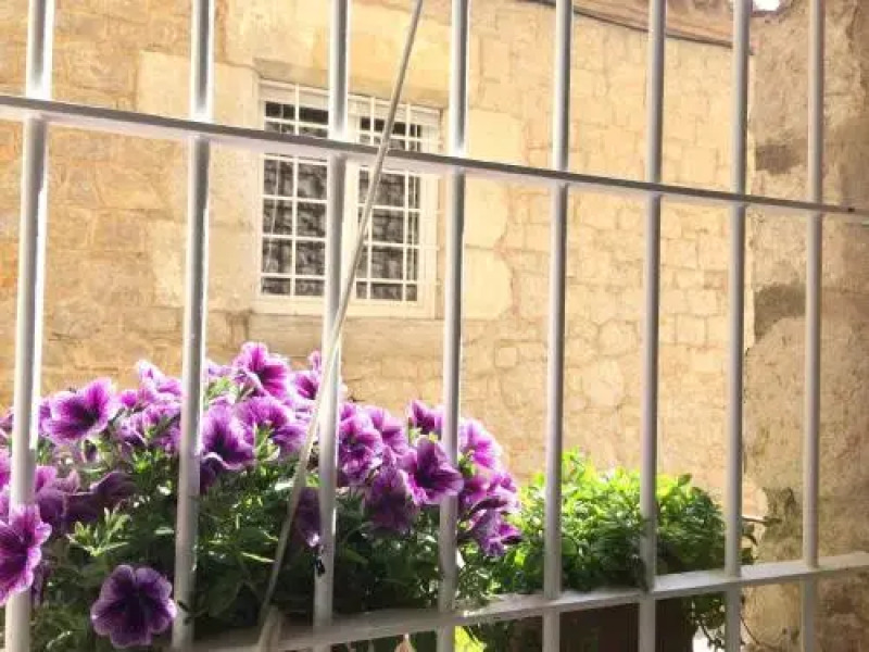 Apartaments La Palmera