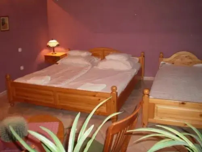 Fehér Hattyú Panzió