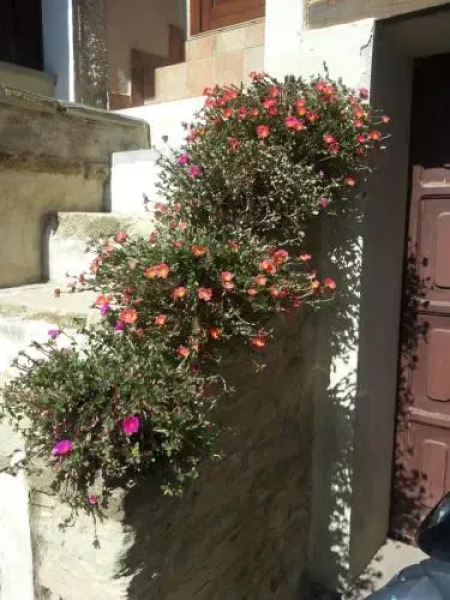 Fra Bosco e Cielo B&B