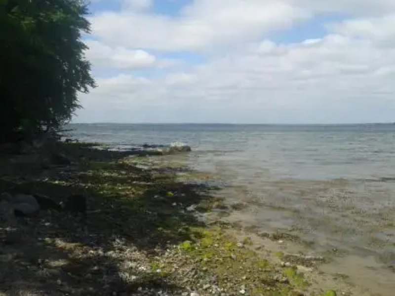 Ostsee Reetkate