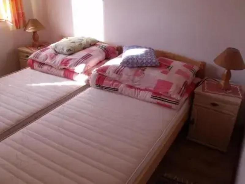 Tündérviola