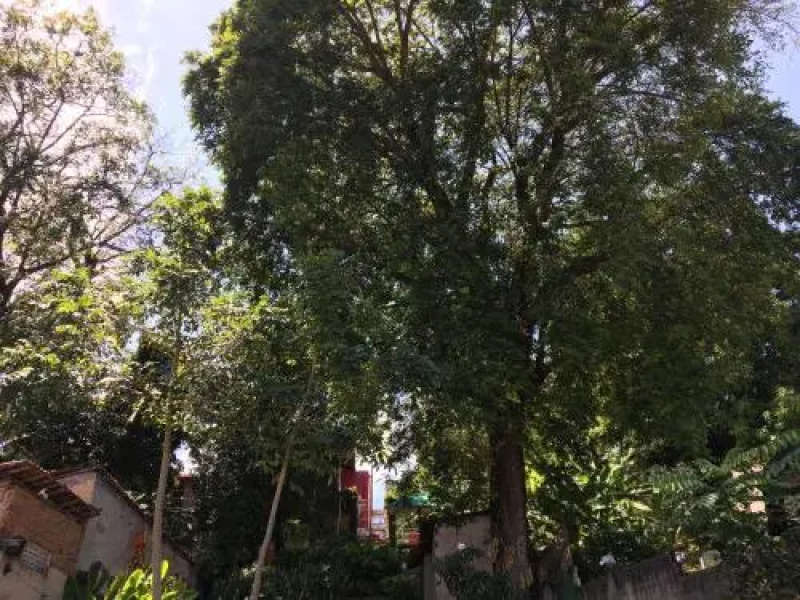Casa de São Bento Hostel