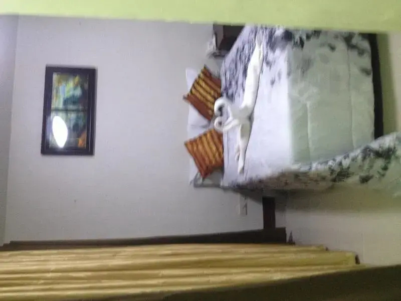 Wallabies Hotel
