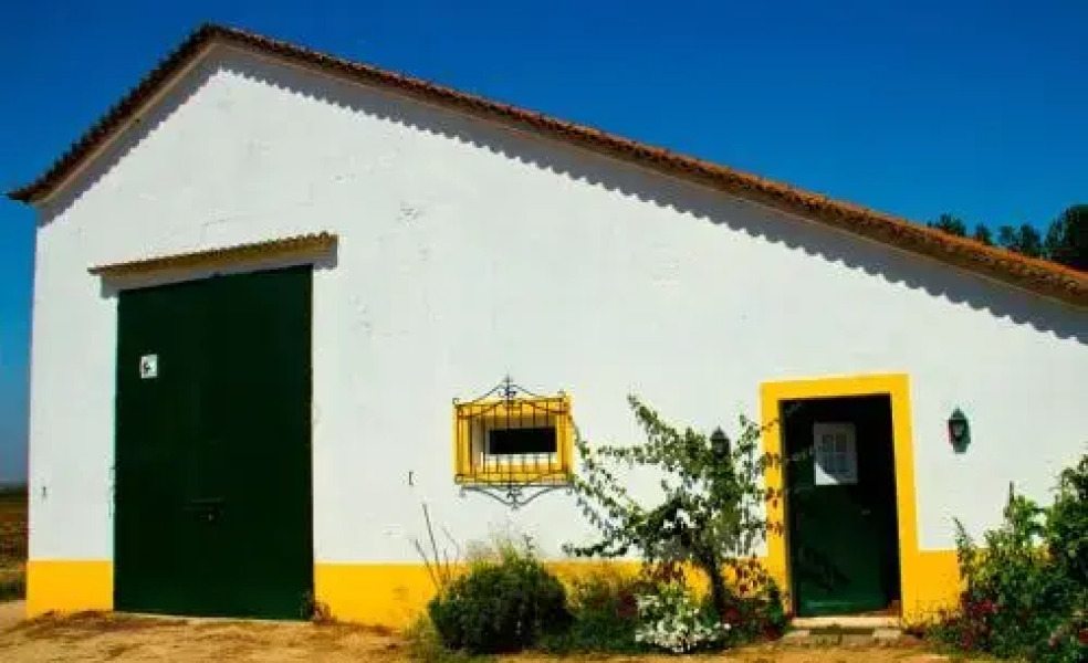 Ribatejo Villa