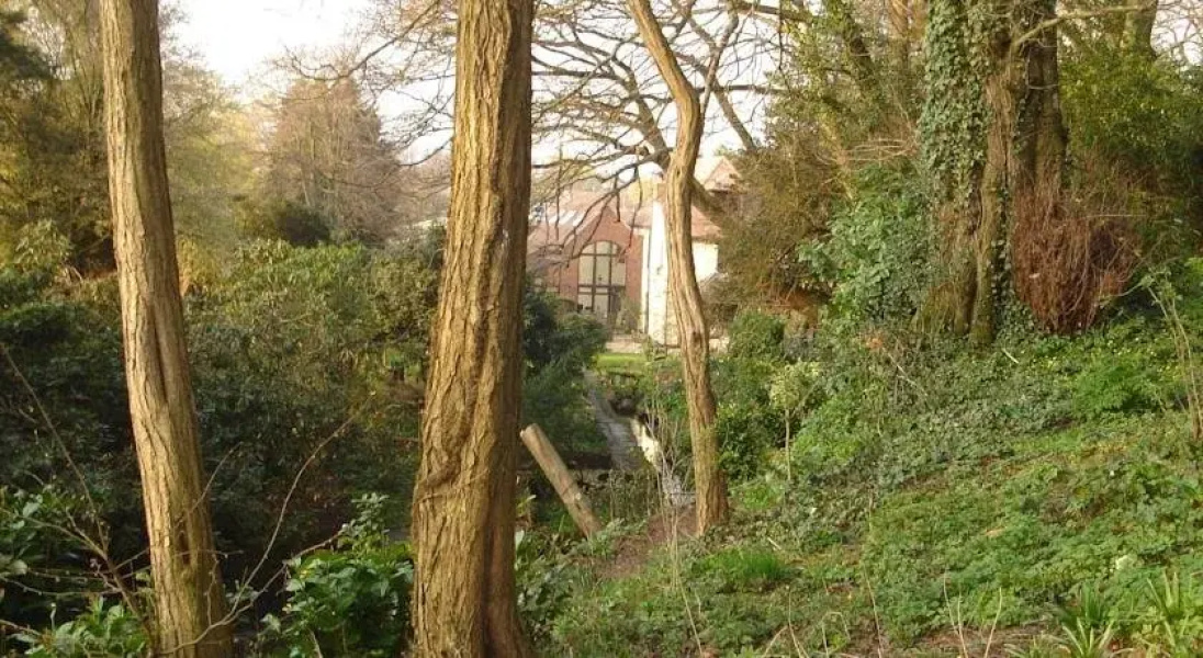 The Oaks