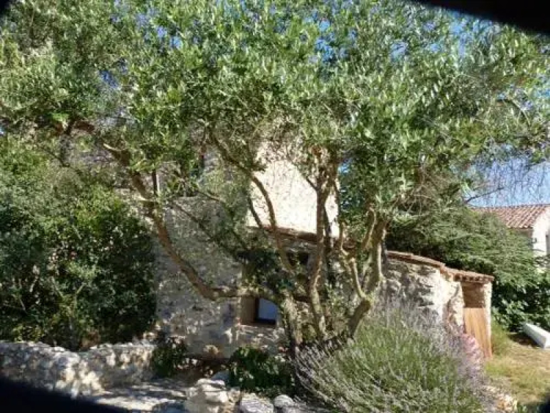 Les Gîtes De La Chérine