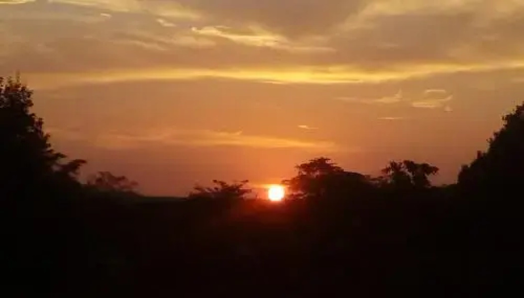 Gaja Resort Sigiriya