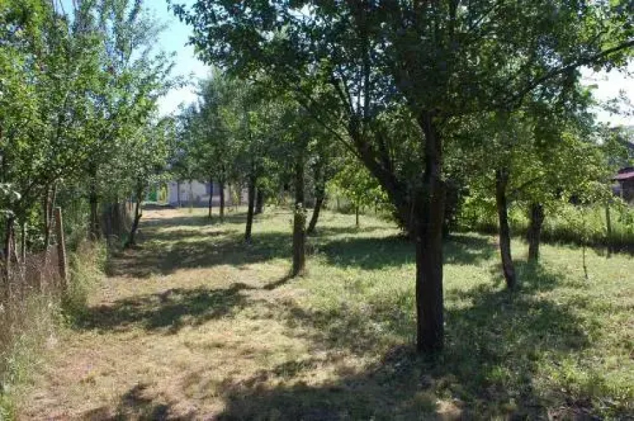 Holiday Home Milkovci