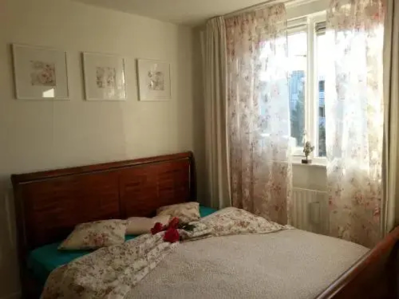 Blauwe gans homestay