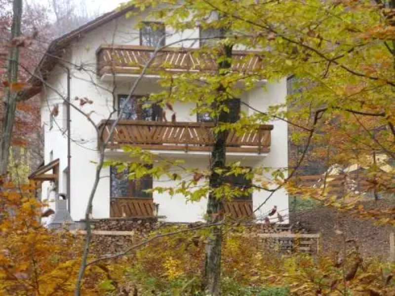 Casa de vacanta Mogosa