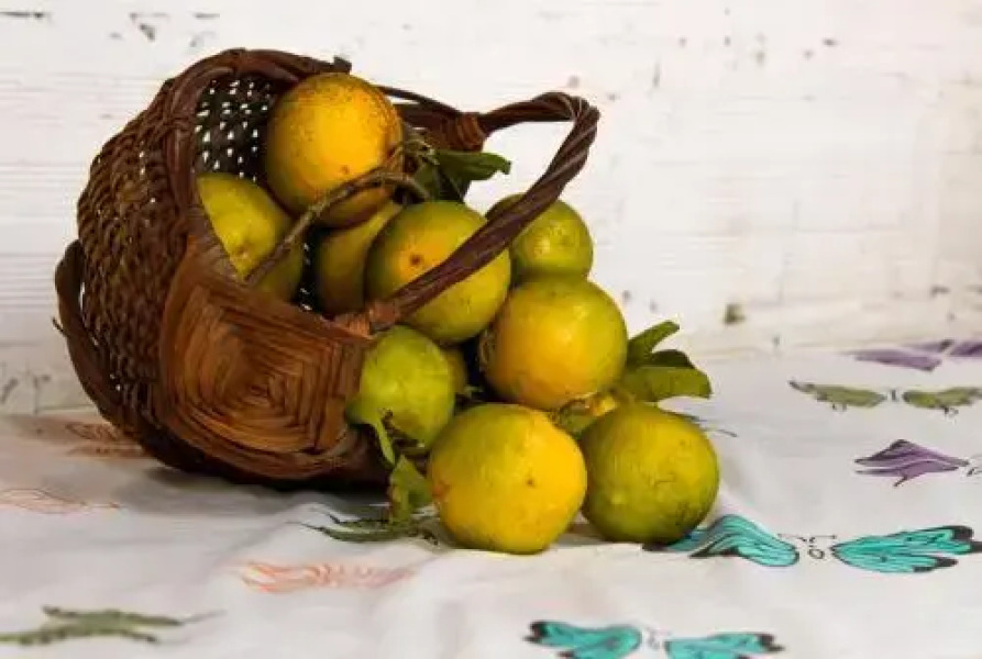 Siete Hierbas Hostal