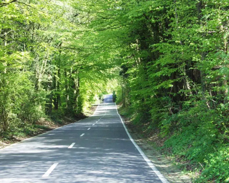 Berggasthof Wilhelmshöhe