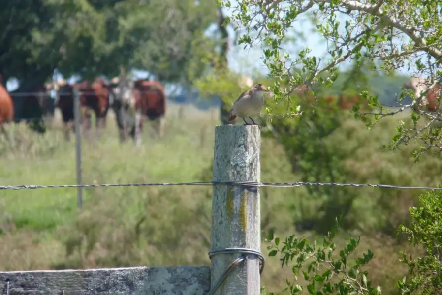 Estancia Hosteria El Ceibo