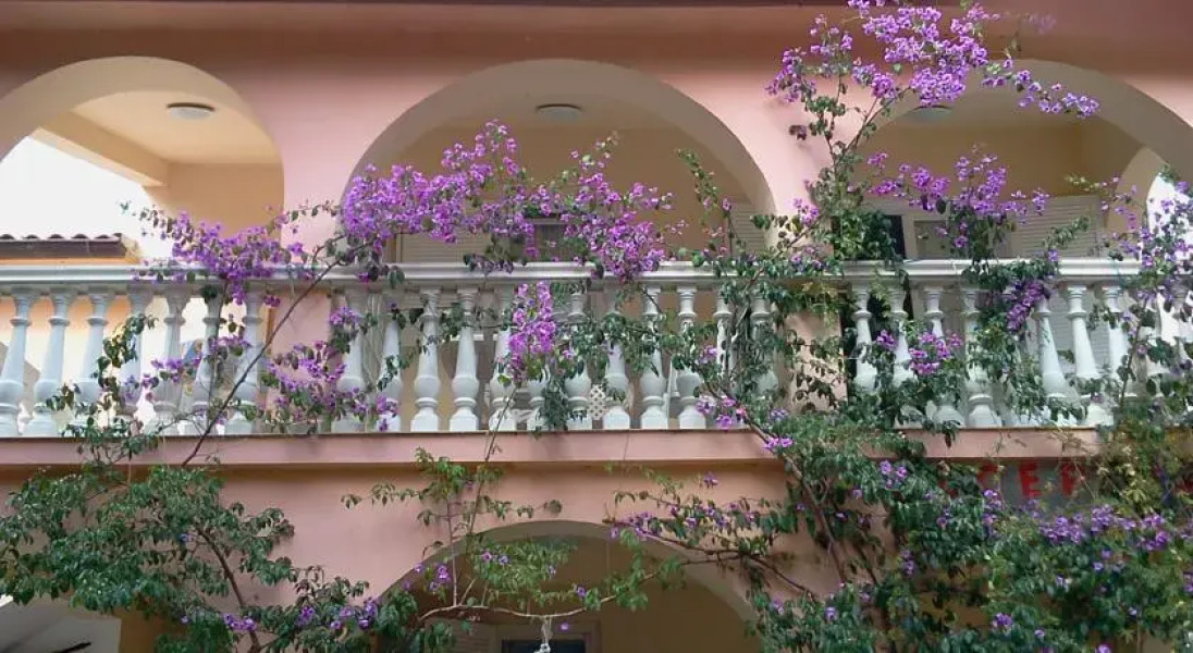 Apartments Postolović