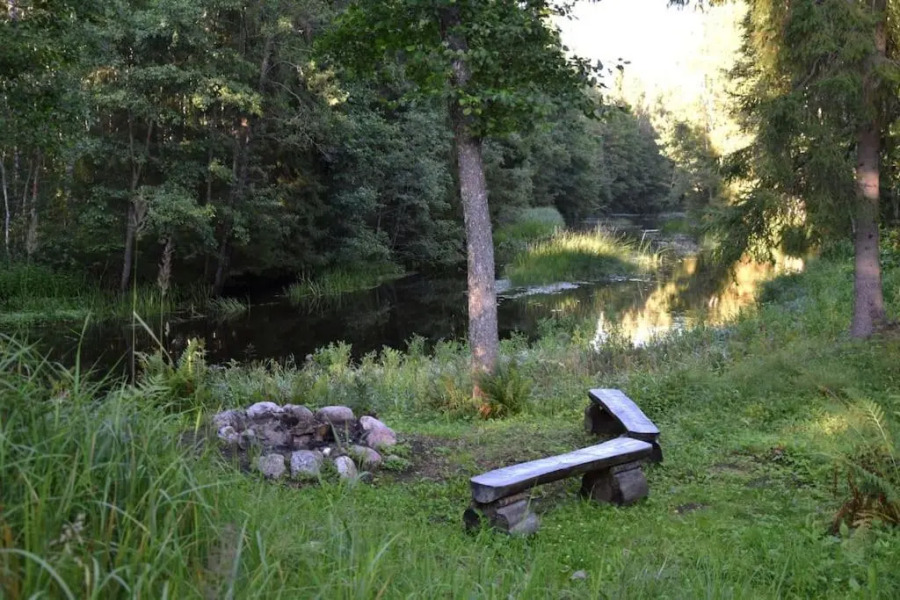 Little Forest House near the river Jägala