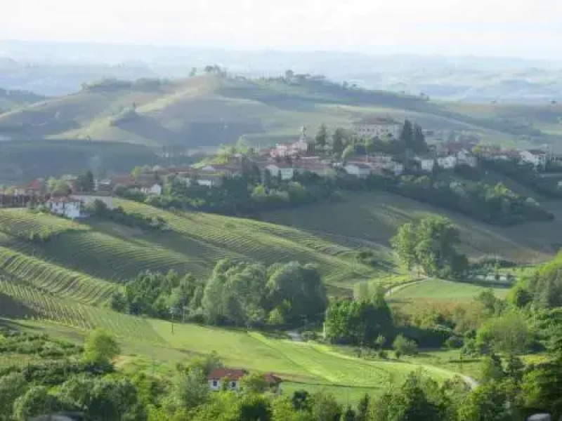 Castello di Coazzolo
