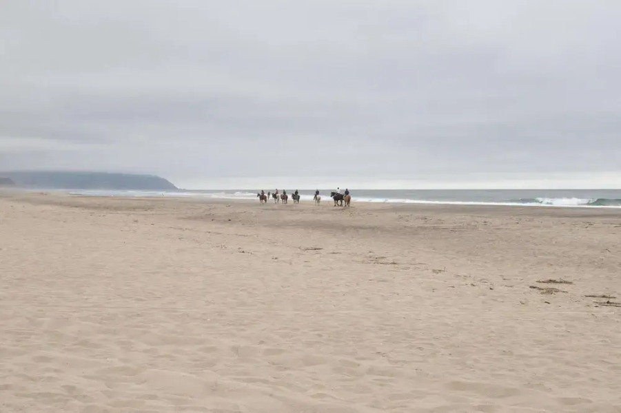 Whale's Tail Cottage