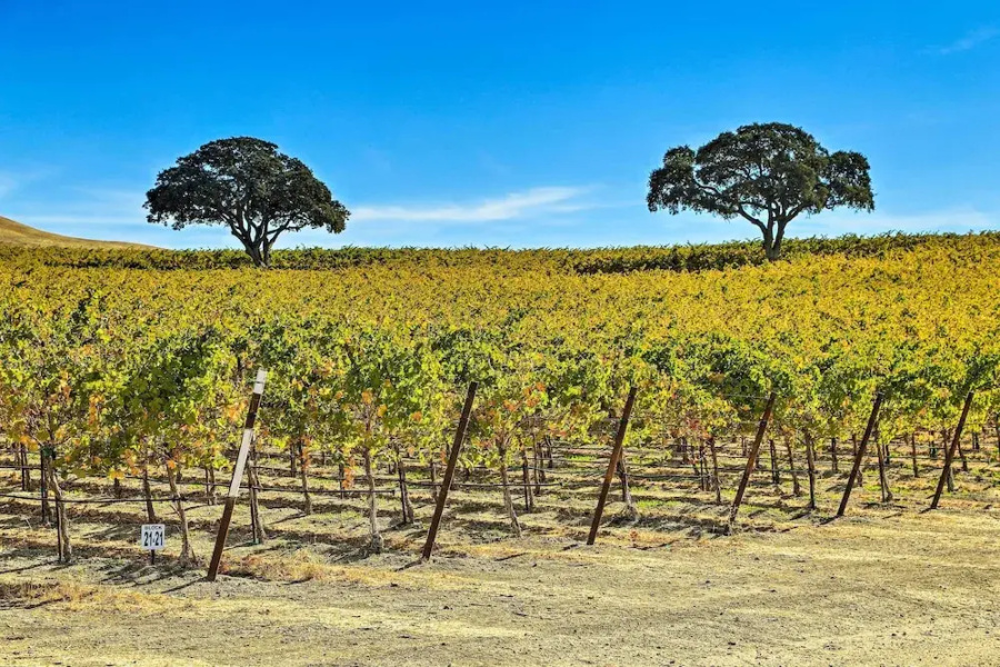 Pleasant Valley Wine Trail Home - Near Paso Robles