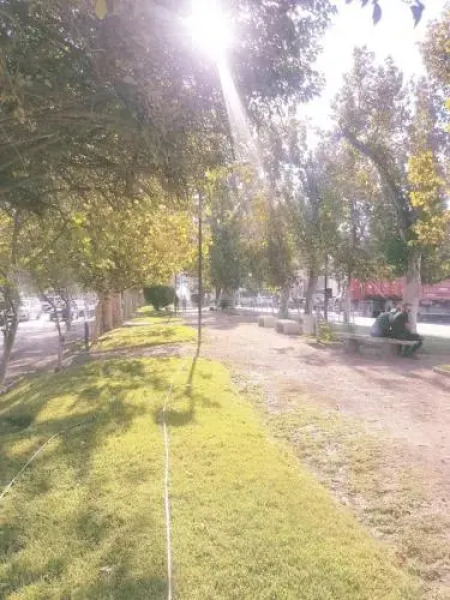 Apartamento Los Andes