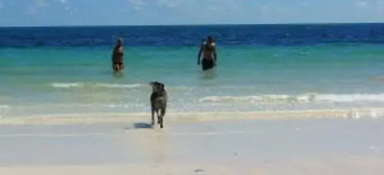 Hideaway Bahamas Beach Club Villa