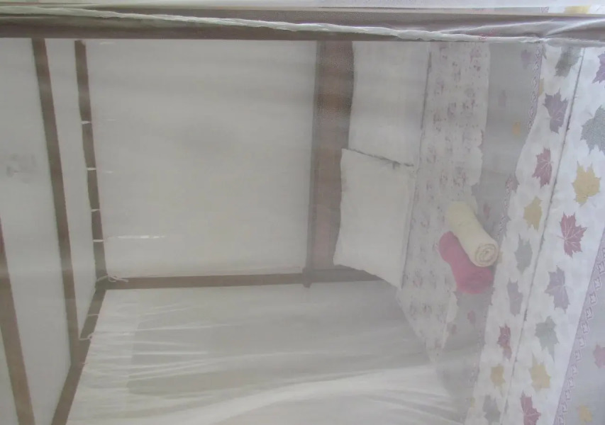 Shoba Traveller's Tree - Galle Fort