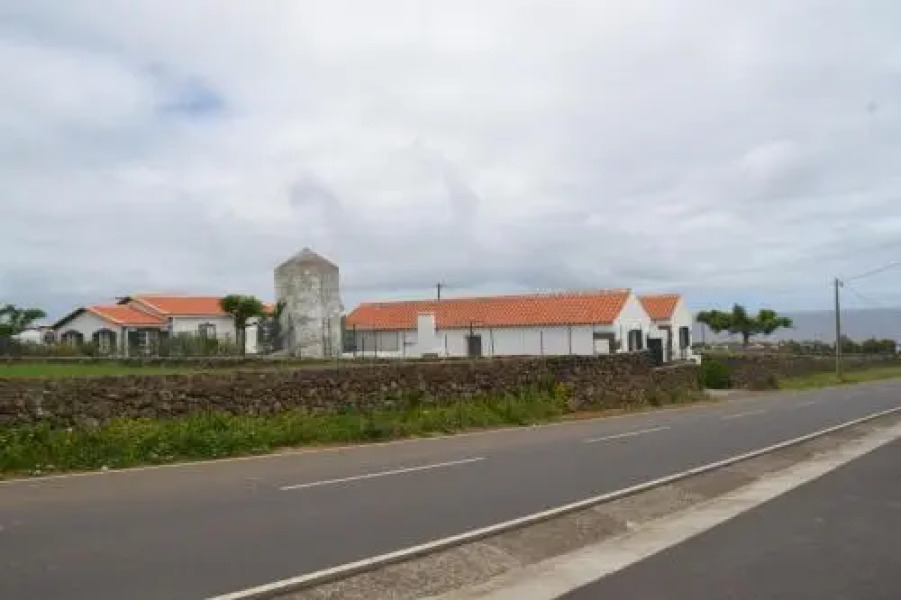 TINA Alojamento Local