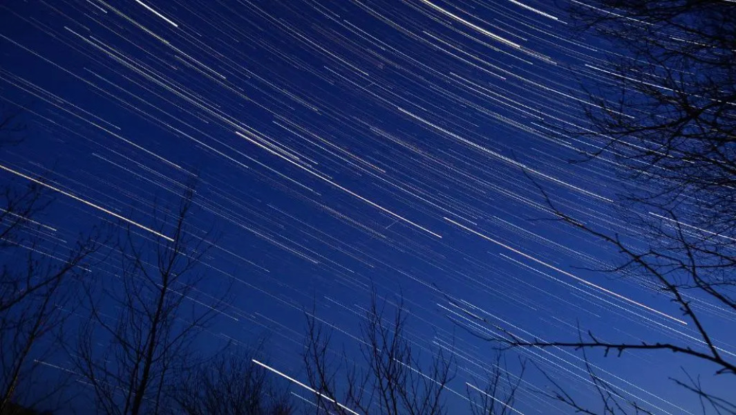 Nijole ir Algimantas