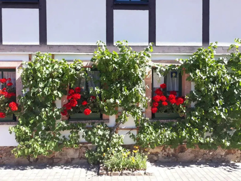 Balancehaus Kohren Sahlis dein Kurhaus in Sachsen