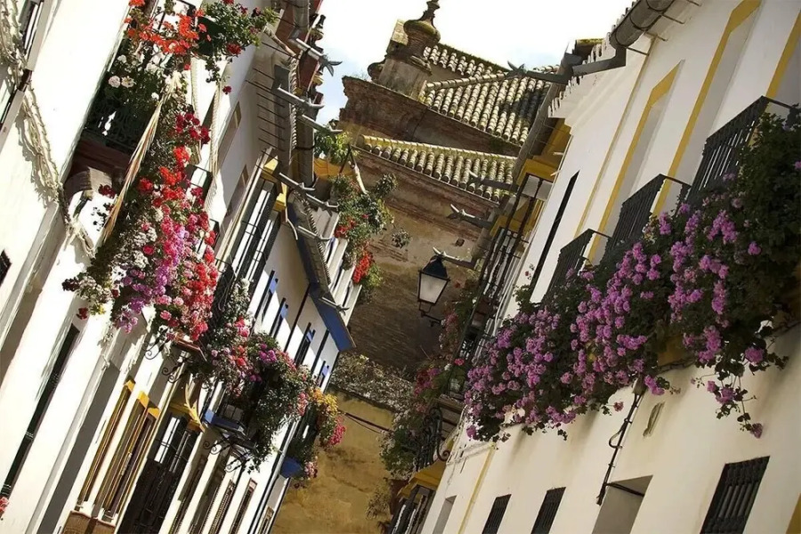 Casa Rural El Pocito