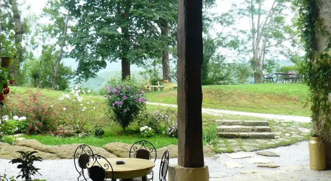 El Halcón Peregrino