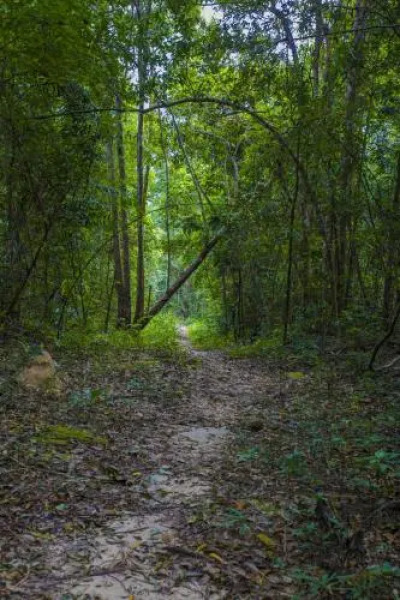 Paradise Bungalows Koh Rong