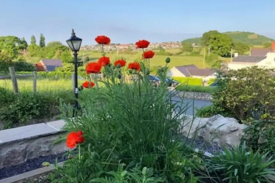 Spacious and Idyllic Cottage Retreat - Conwy