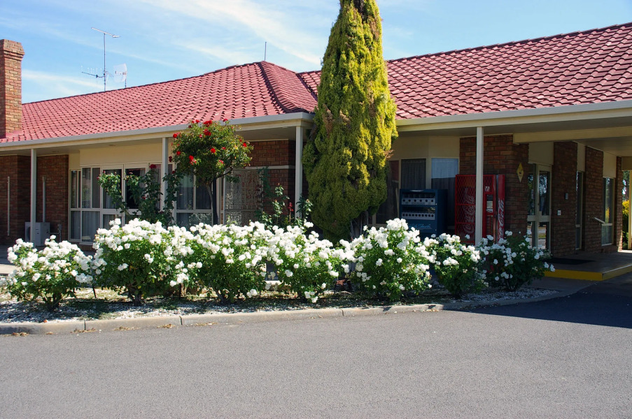 Pines Country Club Motor Inn