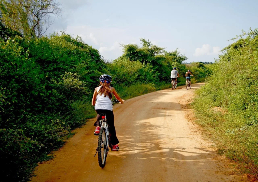 The Yala Camping