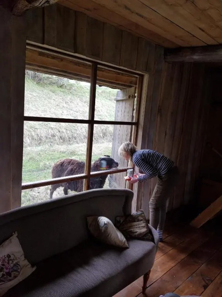 Aadniel's Holiday Village