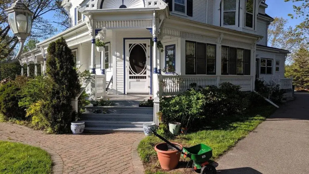 Delft Haus Bed & Breakfast