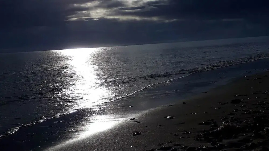 Relais De La Liberte - Utah Beach