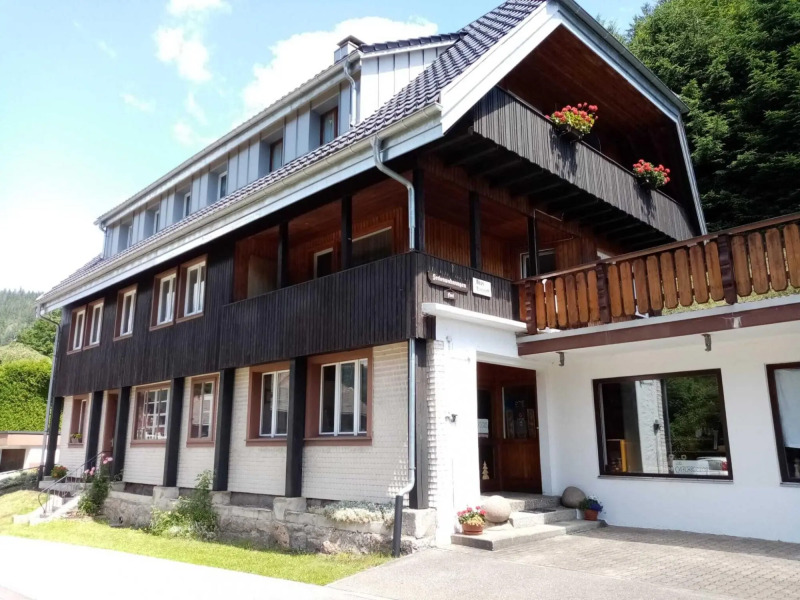 Cosy flat in St. Blasien in the Black Forest with balcony and private terrace