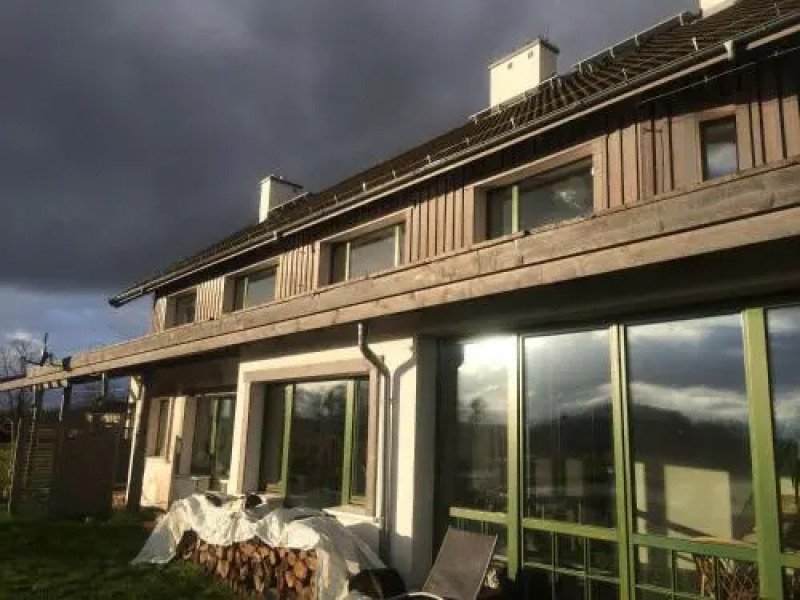 Chamedafne w Puszczy Kampinoskiej