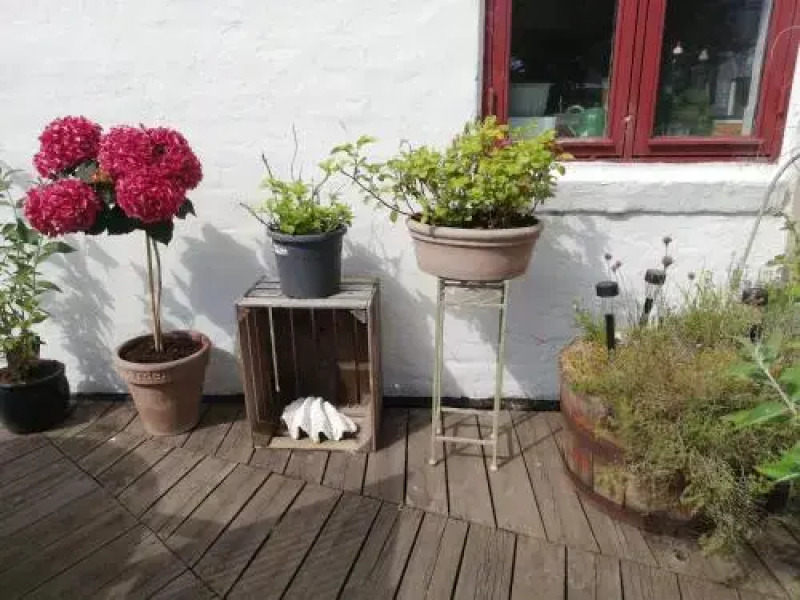 Rosengardens Bed & Breakfast