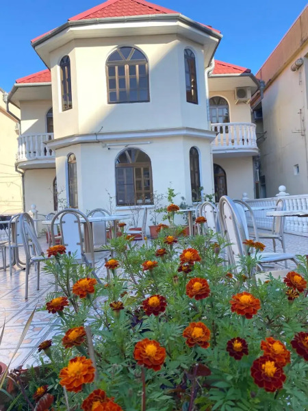 Морские грезы