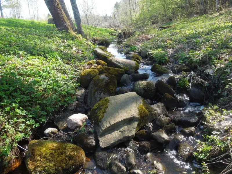 Hinni Talu Puhkemaja