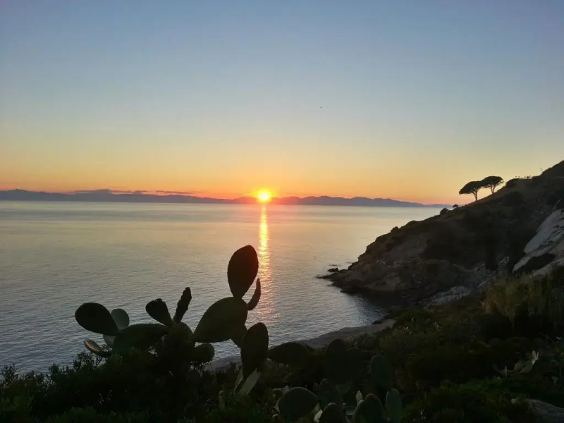 Appartamenti dell'Aia