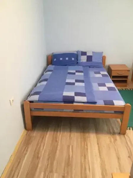 Atomska banja Gornja Trepca hostel Grof