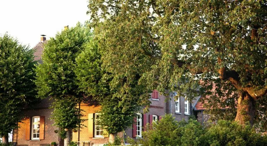 Wolfswijk B&B