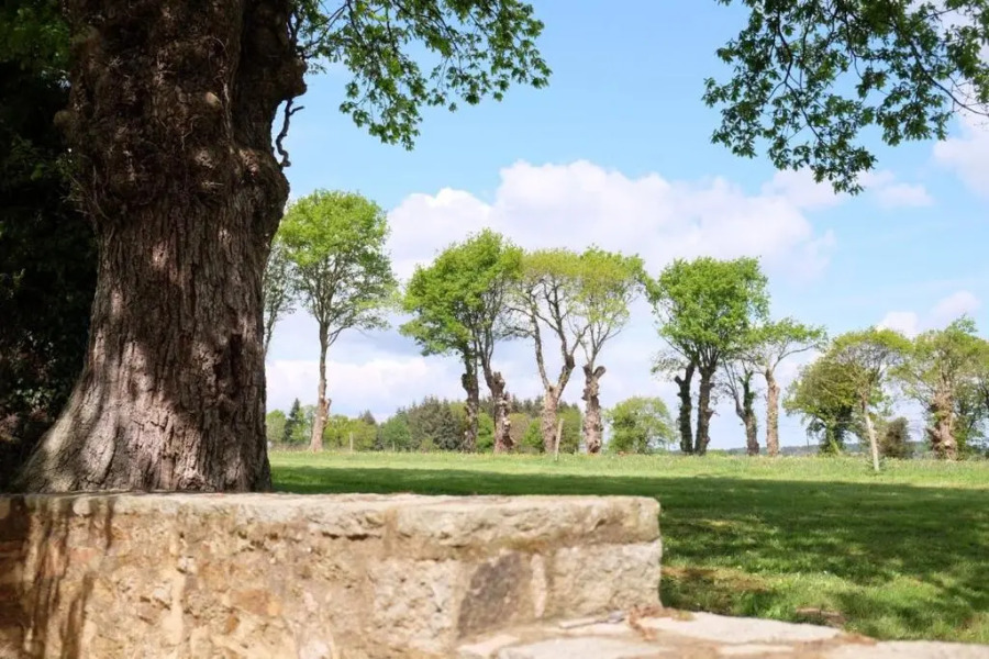 Josselin - Ty Men - large rural family house