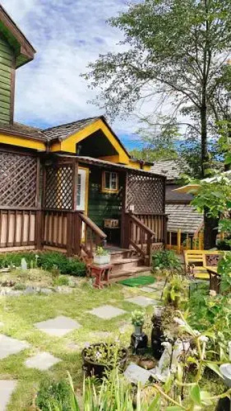 Mayfair Rodem Tree Shelter