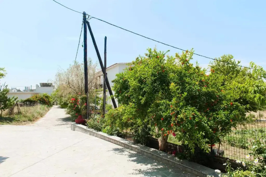 Saonisos