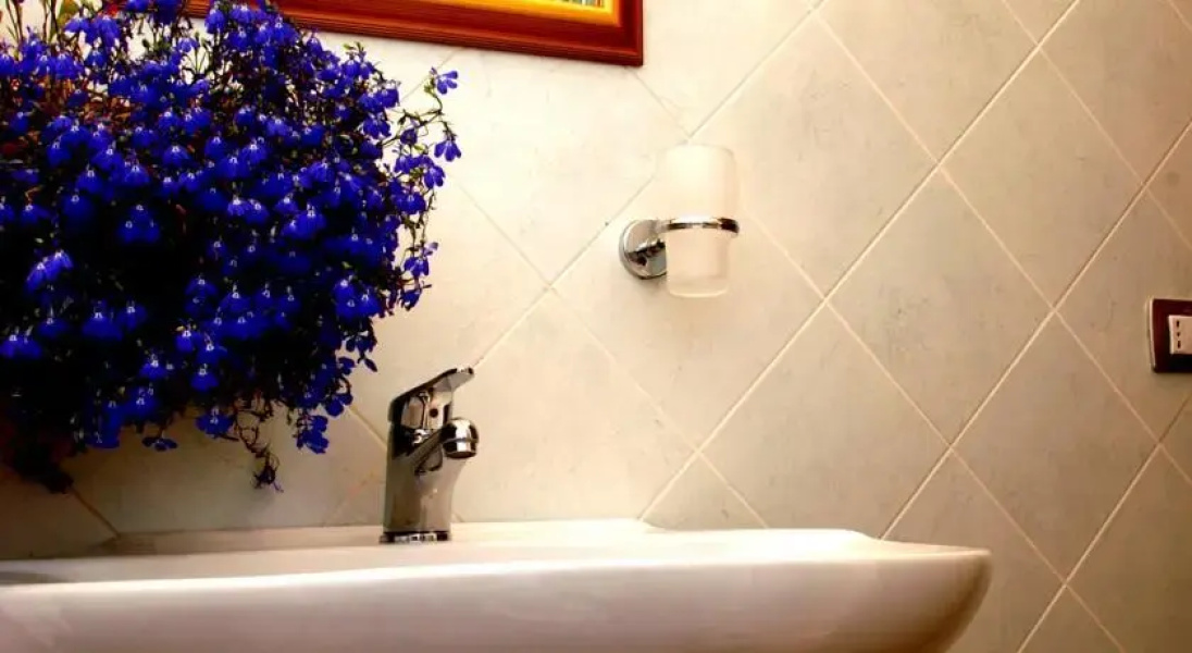 Hotel Vadis